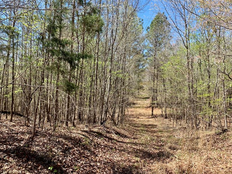 215 Acres in Calhoun County in Calh : Calhoun City : Calhoun County : Mississippi