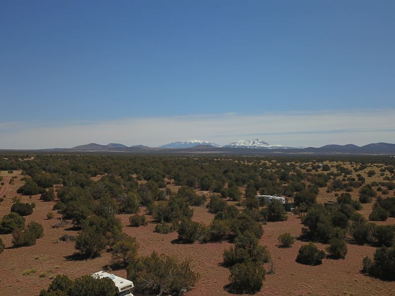 1 Acre with Beautiful Mountain View : Williams : Coconino County : Arizona