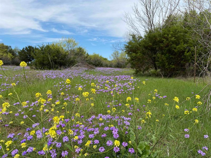 7 Acres Palo Pinto County, TX : Gordon : Palo Pinto County : Texas