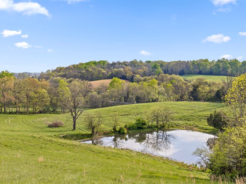 500 Acres For Sale In Tennessee