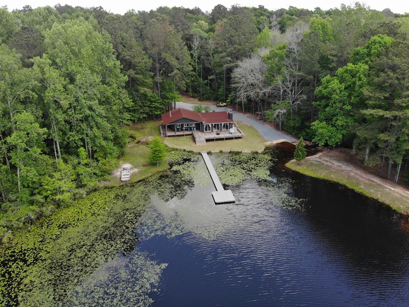 Lily Pad Farm : Oglethorpe : Macon County : Georgia