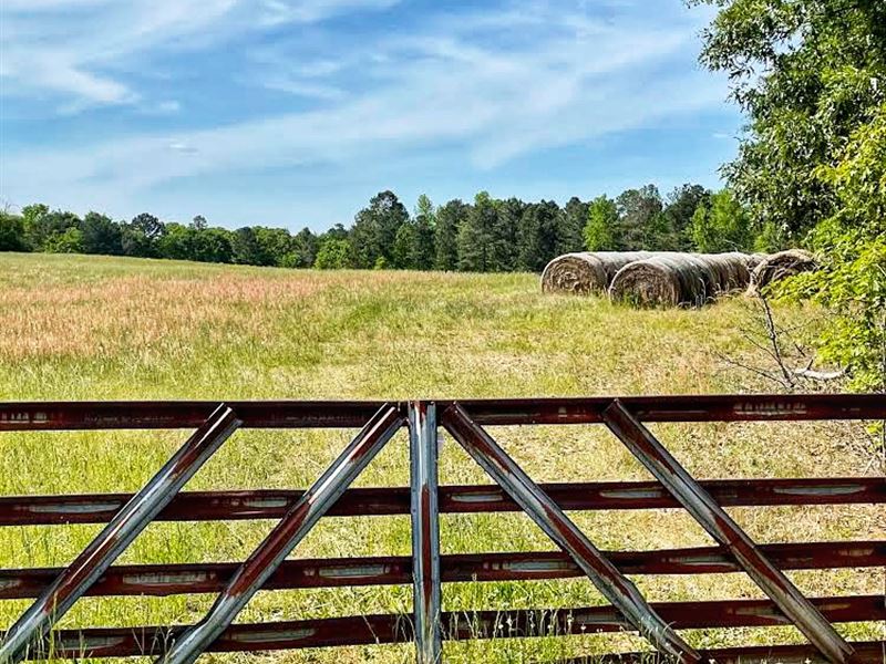 E McIntosh Road : Griffin : Spalding County : Georgia