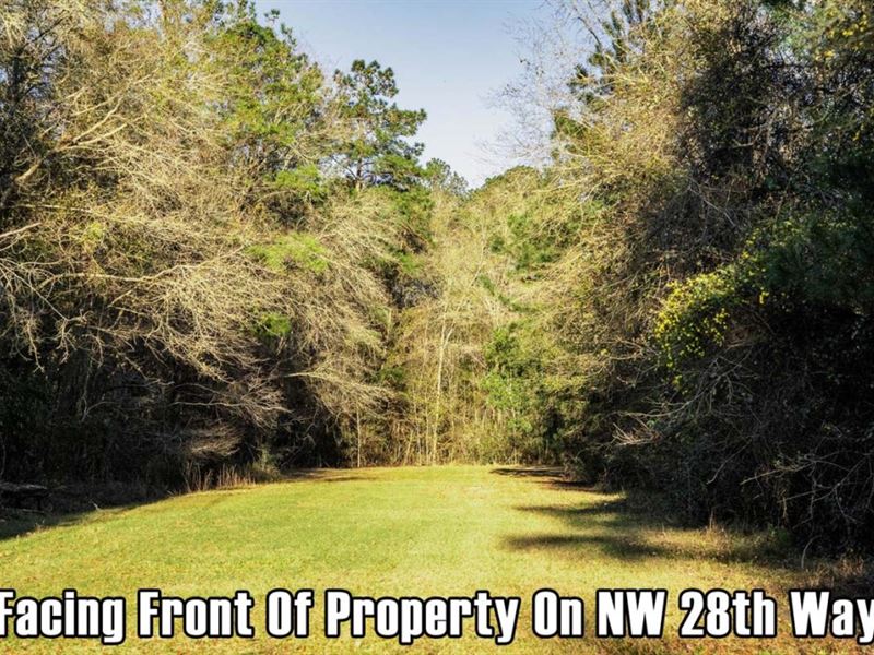 Owner Finance, 2.9 Ac Property : Jennings : Hamilton County : Florida