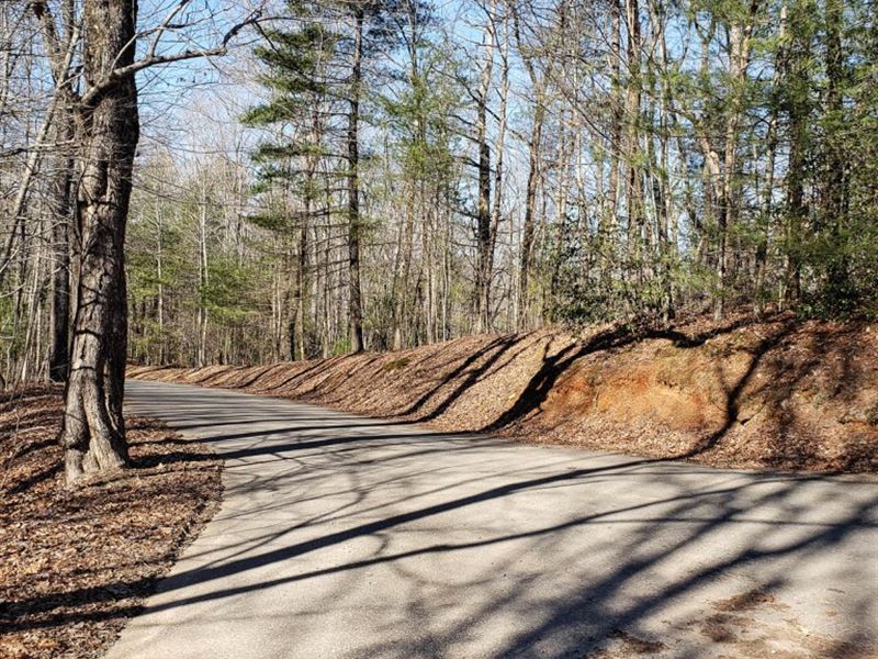 $9,900 Down, Rolling Hills : Ellijay : Gilmer County : Georgia