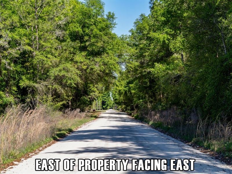 Owner Fin, Nice Neighborhood : Live Oak : Suwannee County : Florida
