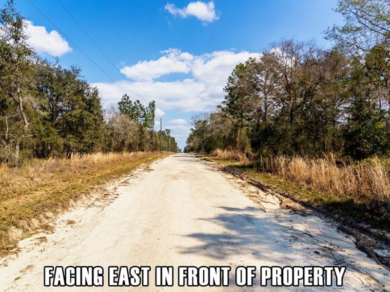 Owner Fin, Mobiles Okay, Quiet : Williston : Levy County : Florida