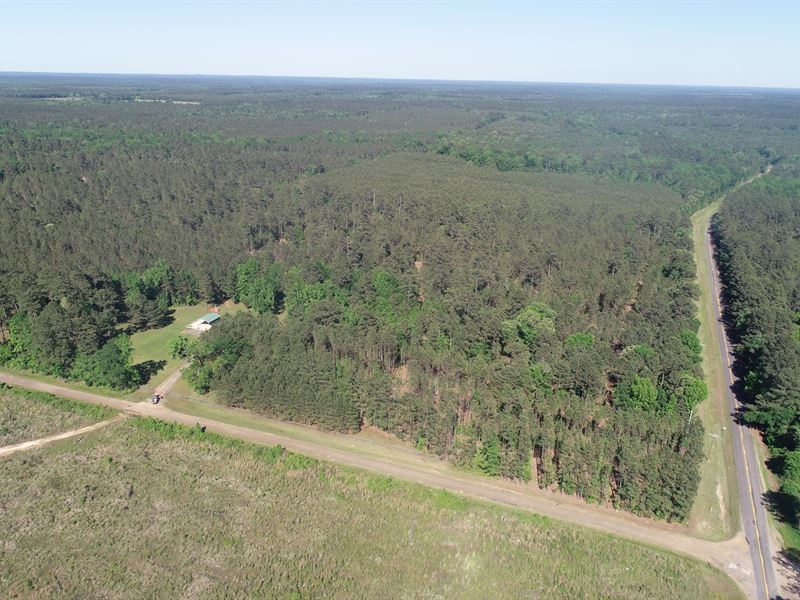 Large Timberland, Camp Site : Emerson : Columbia County : Arkansas