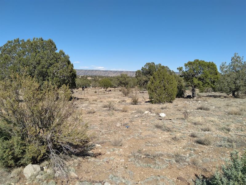 1.5 Acres, Hunting, Camp/Build : Seligman : Yavapai County : Arizona