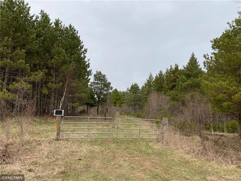80 Wooded Acres North of Askov MN : Askov : Pine County : Minnesota
