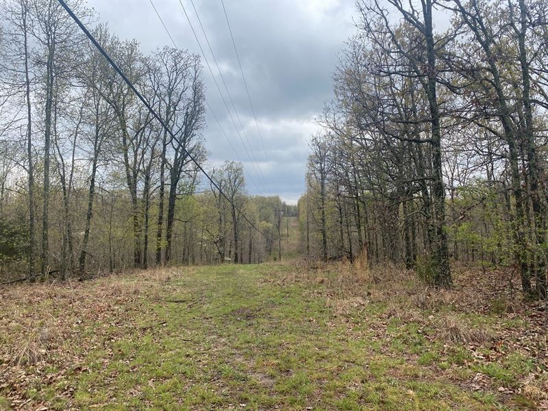 Land for Sale Camden County MO : Climax Springs : Camden County : Missouri