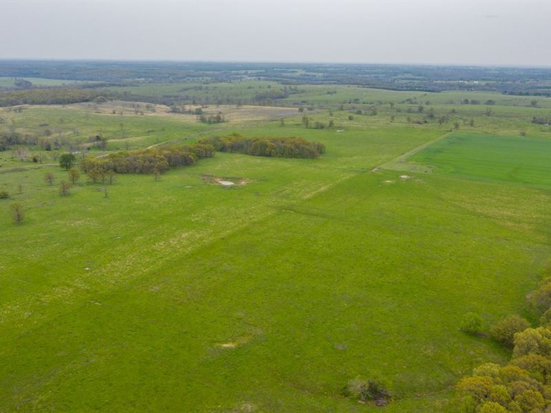 Missouri Cattle Ranch for Sale : Stockton : Cedar County : Missouri