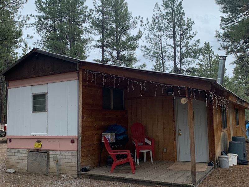 Mountain Land Cabin / Trailer Chama : Chama : Rio Arriba County : New Mexico