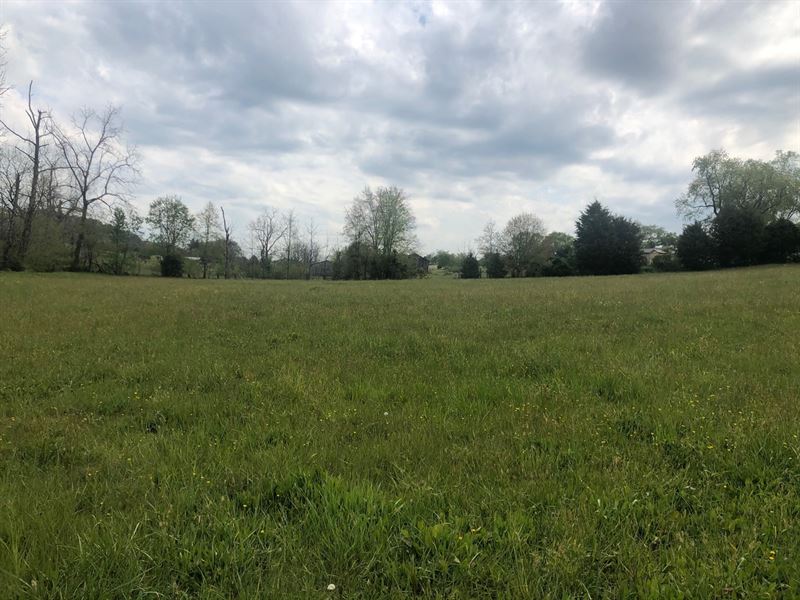 .81 Acres Country Setting Land East : Rogersville : Hawkins County : Tennessee