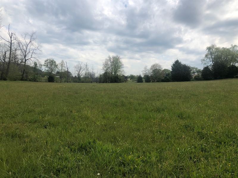 .59 Acres Unrestricted Land East TN : Rogersville : Hawkins County : Tennessee