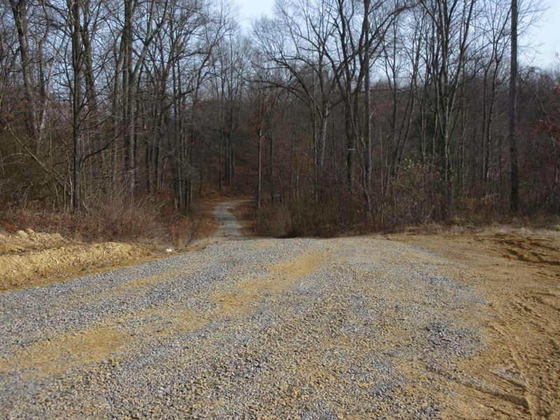 Vinton County Ohio Hunting Land : McArthur : Vinton County : Ohio