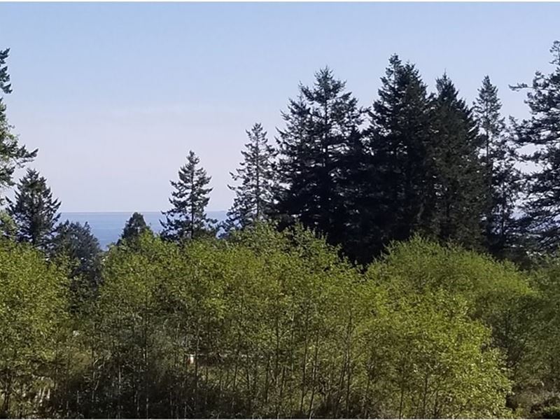 .23 Acre Ocean View Lot Brookings : Brookings : Curry County : Oregon