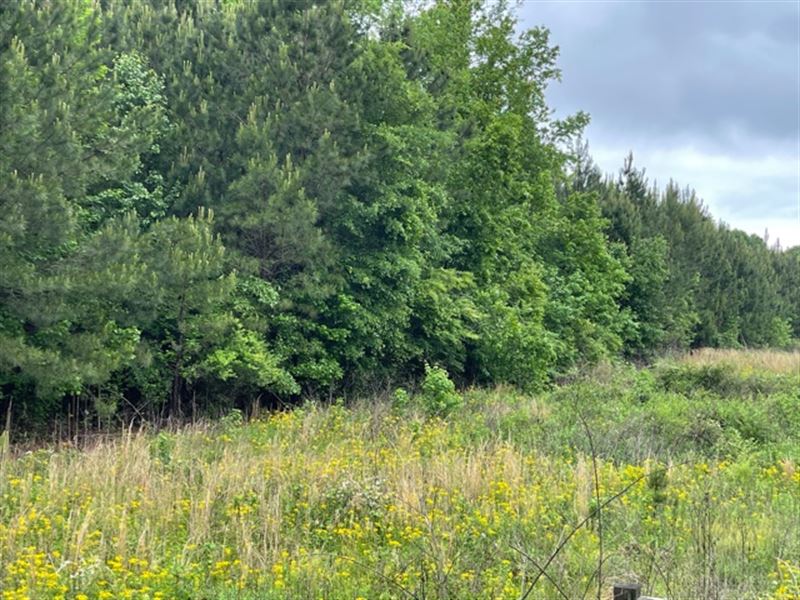 11.52+- Acres in Paulding County : Dallas : Paulding County : Georgia
