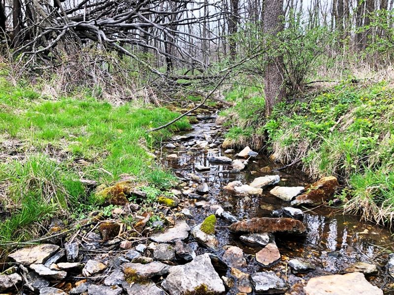 41.2 +/- Acres Townline Road : Fennimore : Grant County : Wisconsin
