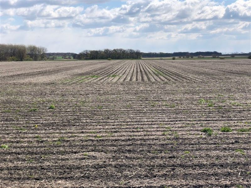 30 Acre Janes Farm Burlington Twp : Sycamore : Kane County : Illinois