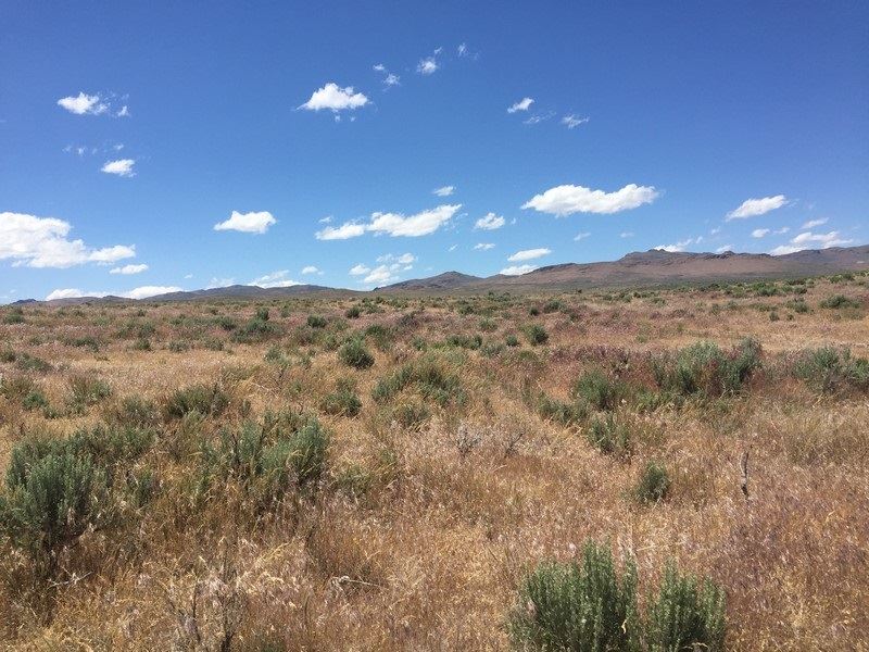 4.33 Acres Off-Grid, Great Access : Ryndon : Elko County : Nevada