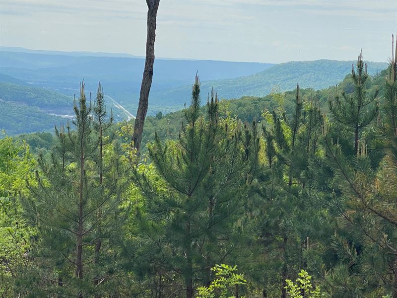7.54 Beautiful Bluff View Property : Sewanee : Marion County : Tennessee