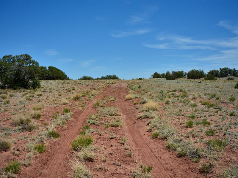 Get Away and Sleep Under The Stars : Concho : Apache County : Arizona