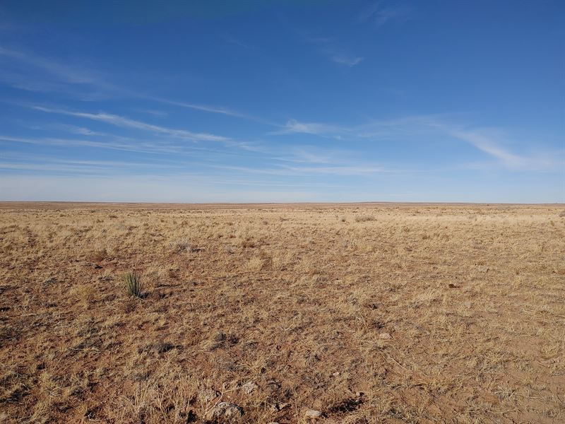 1 Acre Close to Painted Desert : Holbrook : Apache County : Arizona