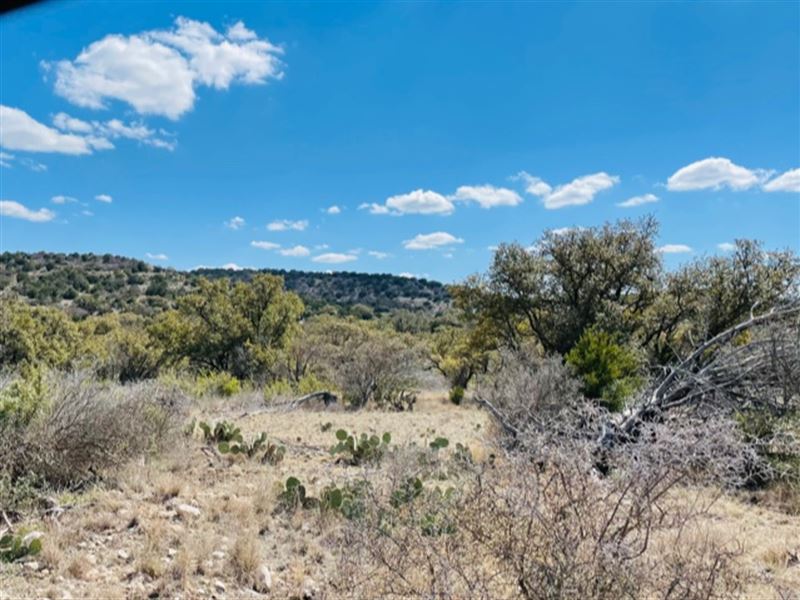Oak Bend, Lot 16 : Rocksprings : Edwards County : Texas