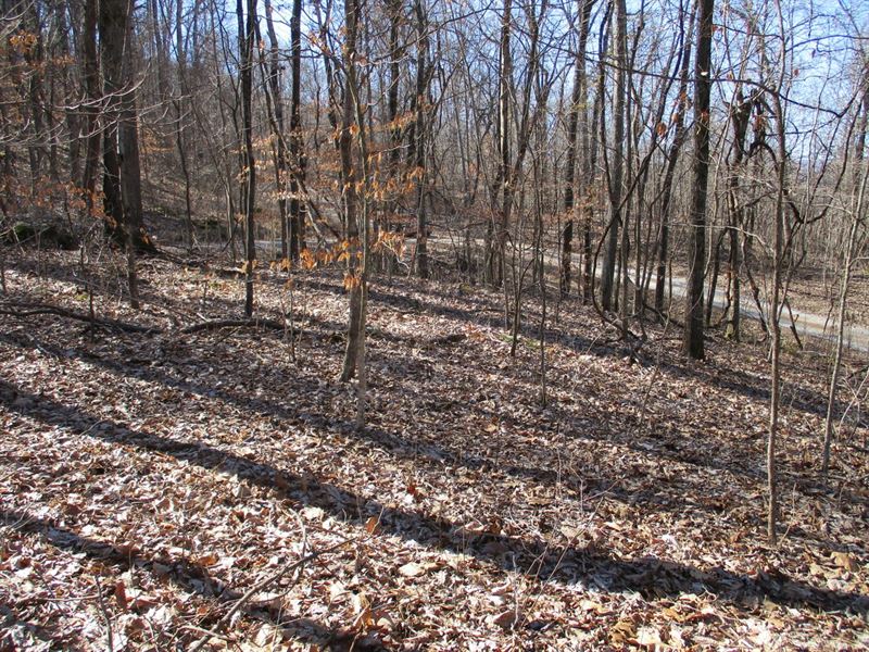 Private But Close to Town : Pikeville : Bledsoe County : Tennessee