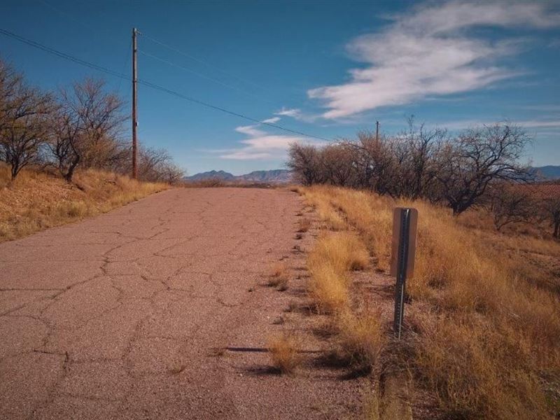 Get a Ton of it on Your 1.26 Acres : Rio Rico : Santa Cruz County : Arizona