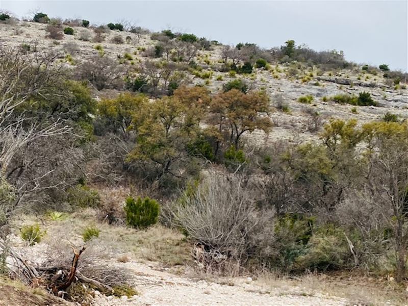 Newby Hills, Lot 42 : Rocksprings : Edwards County : Texas