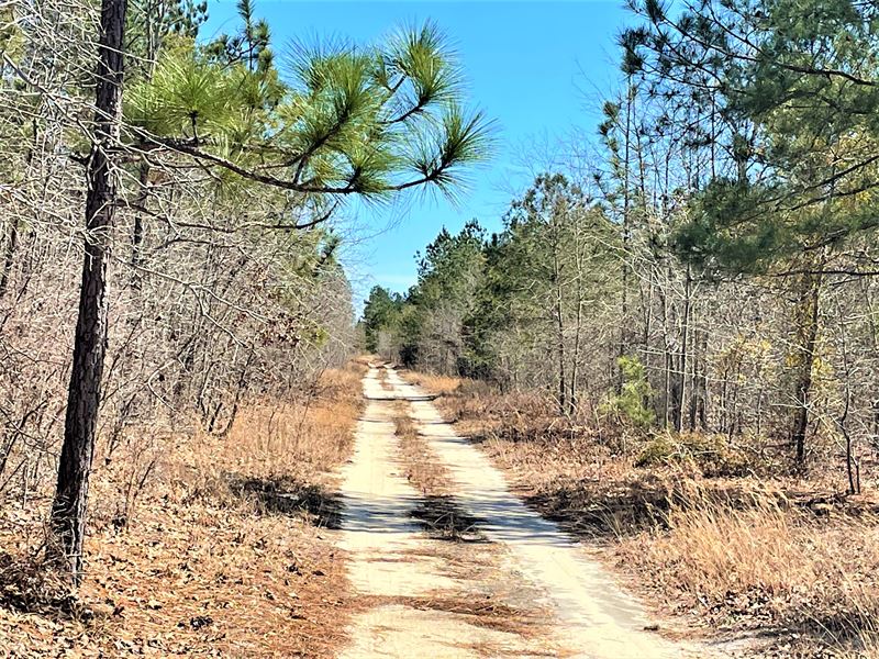 Porter Tract : Williston : Barnwell County : South Carolina
