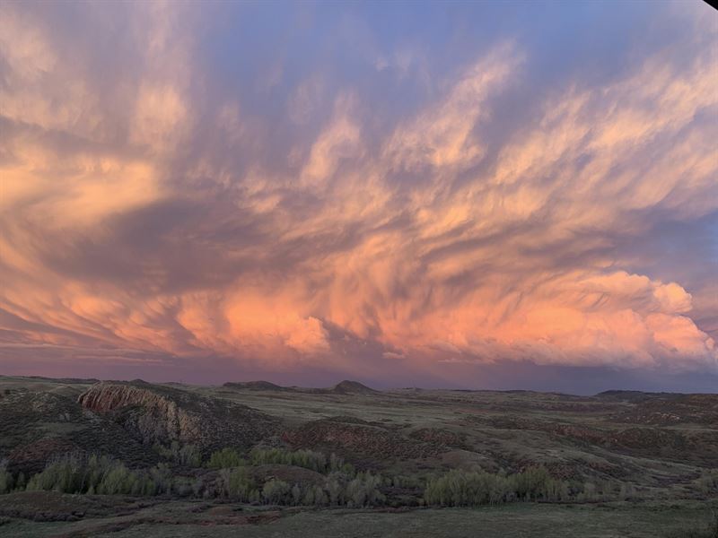 199 Joy Rd : Livermore : Larimer County : Colorado