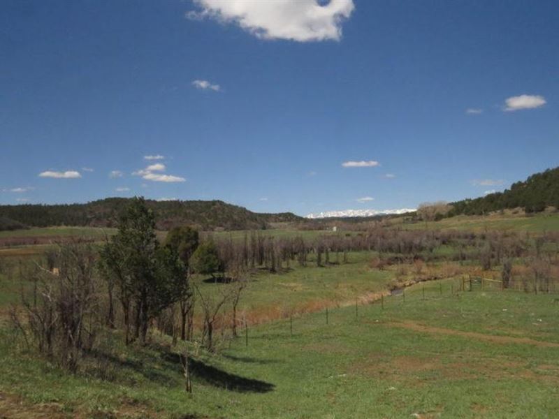 Apishapa River 40 Acres : Aguilar : Las Animas County : Colorado