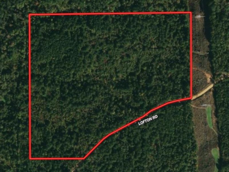 30 Acres in Franklin County in Luci : Lucien : Franklin County : Mississippi