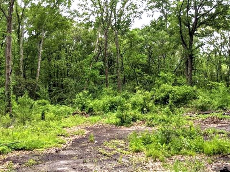 1 Commercial Acre in Hinds County : Jackson : Hinds County : Mississippi