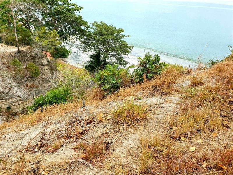 Beaech Front Lot Bijao Area Panama : Panama