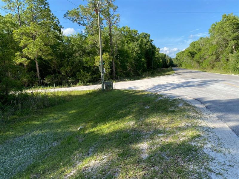 Acreage in Old Town Florida : Old Town : Dixie County : Florida