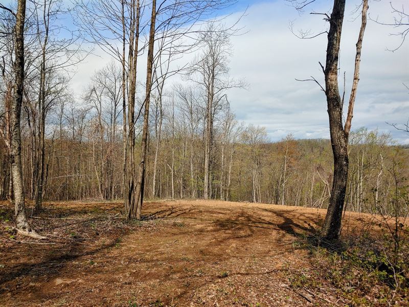 Land for Sale in Callaway VA : Callaway : Franklin County : Virginia