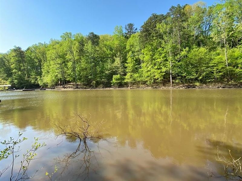 Waterfront Lot On Kerr Lake, VA : Clarksville : Mecklenburg County : Virginia