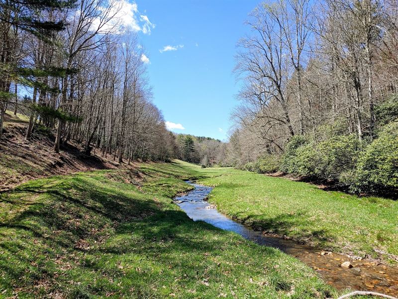 Gorgeous Farm Land in Willis VA : Willis : Floyd County : Virginia