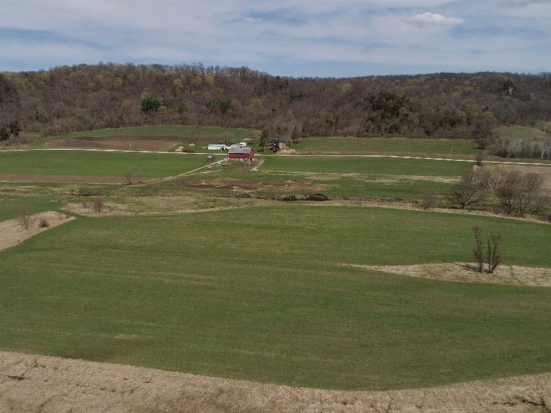 Whimsical Investment Estate : Richland Center : Richland County : Wisconsin