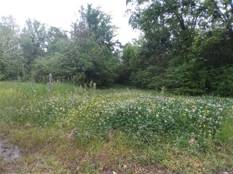 SW Arkansas Lot with Utilities : Texarkana : Miller County : Arkansas