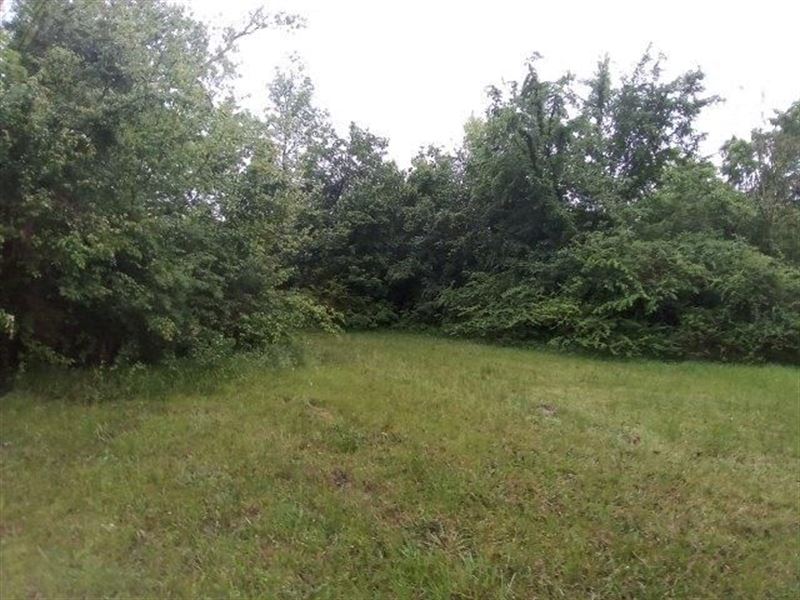 48 Bismark St. Texarkana, Utilities : Texarkana : Miller County : Arkansas