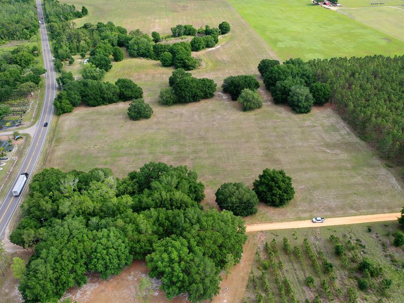 South Lake County Acreage : Groveland : Lake County : Florida