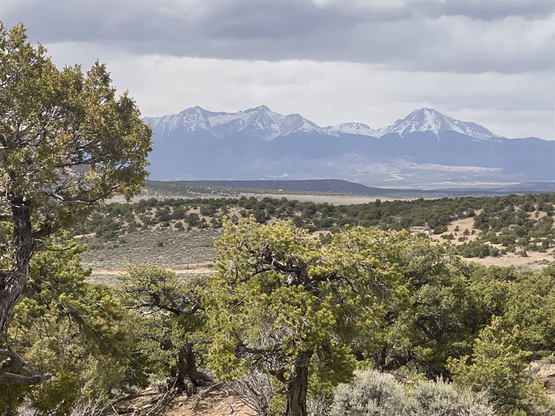 Postcard Views of MT Blanca & Trees : Fort Garland : Costilla County : Colorado