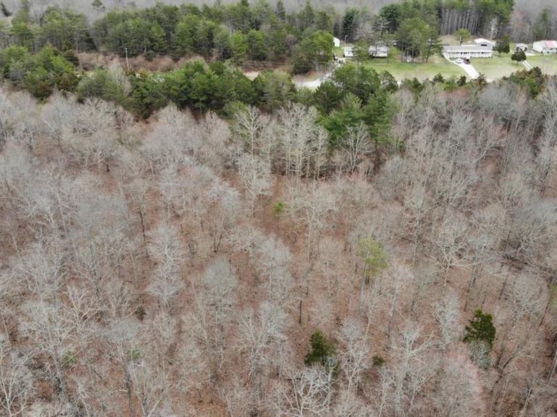 Land in Daniel Boone / Pulaski : Somerset : Pulaski County : Kentucky