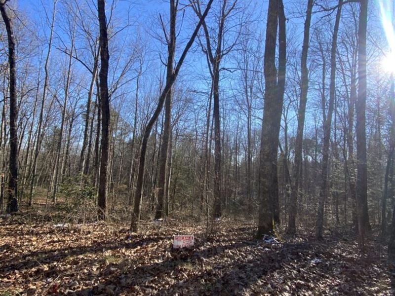 Hunters Dream Joins National Forest : Somerset : Pulaski County : Kentucky