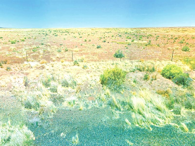 Fantastic 1.33 Acres : Holbrook : Navajo County : Arizona