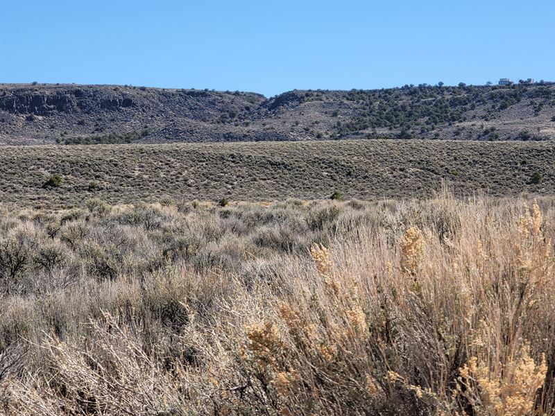 Gorgeous Rolling Hills in SL Valley : San Luis : Costilla County : Colorado